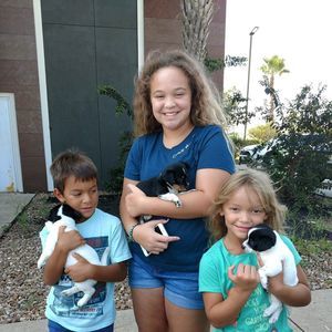 Meet your Posher, Kim